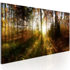 Kép - Beautiful Forest 150x50 grafika, keretezett kép
