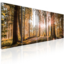 Kép - Beauty of Nature 225x90 grafika, keretezett kép