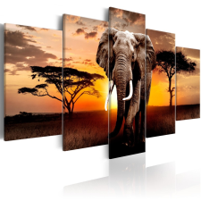  Kép - Elephant Migration 200x100 grafika, keretezett kép