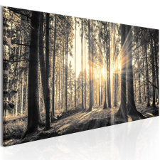 Kép - Forest Sun 150x50 grafika, keretezett kép