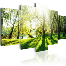 Kép - Green Glade 200x100 grafika, keretezett kép