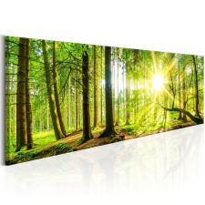 Kép - Majestic Trees 150x50 grafika, keretezett kép