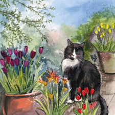 Képeslap Alex Clark borítékkal, 14x14 cm, cica tulipánokkal party kellék