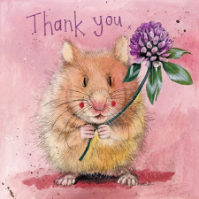 Képeslap Alex Clark borítékkal, 14x14 cm, Herbert hörcsög Thank you party kellék