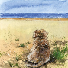 Képeslap Alex Clark borítékkal, 14x14 cm, kutya tengerparton party kellék