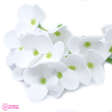  Kicsi Fehér Jácint Szappanvirág Fejek ajándéktárgy