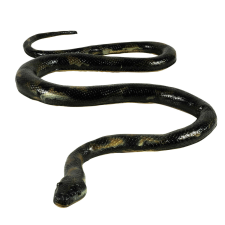  Kígyó, 135 cm játékfigura