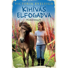 Kihívás elfogadva regény