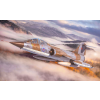  Kinetic CF-104D ROCAF 1:48 (K48095)