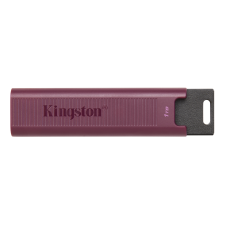 Kingston 1TB DataTraveler Max USB 3.2 Type-A Pendrive - Bordó pendrive