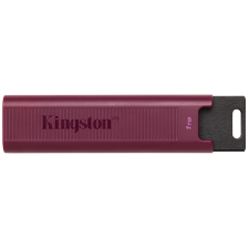 Kingston 1tb usb3.2 type-a datatraveler max (dtmaxa/1tb) flash drive pendrive