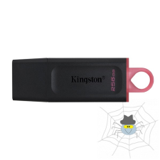 Kingston 256GB USB3.2 DataTraveler Exodia (DTX/256GB) Flash Drive pendrive