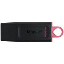 Kingston DataTraveler Exodia 256GB pendrive