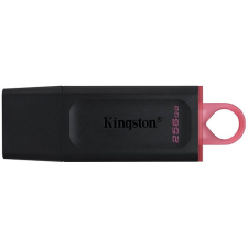 Kingston DataTraveler Exodia 256GB pendrive