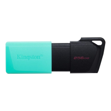 Kingston DataTraveler Exodia M - USB flash drive - 256 GB (DTXM/256GB) pendrive