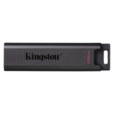 Kingston Pendrive 256GB, DT Max USB-C 3.2 Gen 2 (1000/900) pendrive