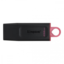 Kingston PenDrive 256GB Kingston DTX USB 3.2 Gen1 pendrive