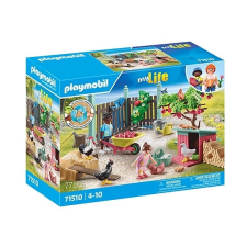 kis csirke farm Tiny House kertjében playmobil