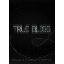 KISS ltd True Bliss (PC - Steam elektronikus játék licensz) videójáték