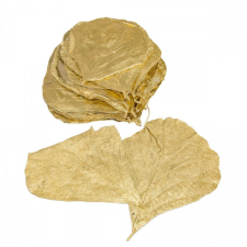  Kobra levél arany 20db-os dekorációs kellék