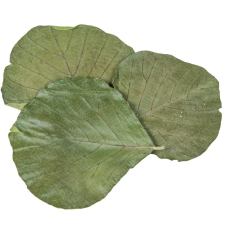  Kobra levél vil.zöld 50db-os dekorációs kellék