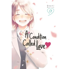 Kodansha America, Inc A Condition Called Love 17 | V17 egyéb könyv