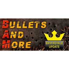 Koenigz Bullets And More - BAM VR (PC - Steam Digitális termékkulcs) videójáték