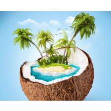  Kókuszsziget tapéta, 300 x 200 cm tapéta, díszléc és más dekoráció