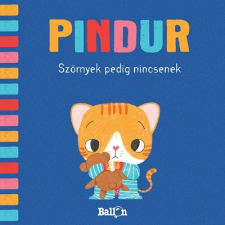 Kolibri Gyerekkönyvkiadó Kft Pindur 4. - Szörnyek pedig nincsenek gyermek- és ifjúsági könyv