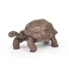 Kolibri Játék Papo: Galapagosi teknõs