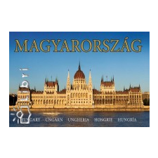 Kolozsvári Ildikó Magyarország nyelvkönyv, szótár