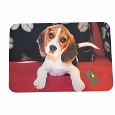 Kölyök Beagle gumi lábtörlő, 60 x 40 cm lakástextília
