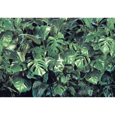 Komar fotótapéta Verdure 368 cm x 254 cm tapéta, díszléc és más dekoráció