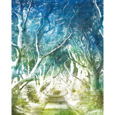Komar nemszőtt fotótapéta Alley 200 cm x 250 cm tapéta, díszléc és más dekoráció