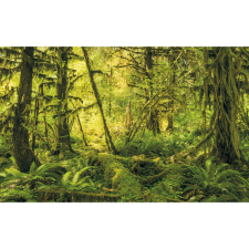 Komar nemszőtt fotótapéta Ancient World 400 cm x 250 cm tapéta, díszléc és más dekoráció