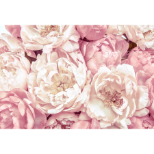 Komar nemszőtt fotótapéta Peonies 368 cm x 248 cm tapéta, díszléc és más dekoráció