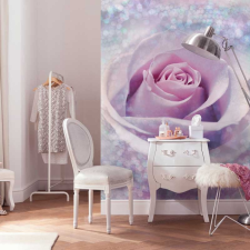 Komar Products Gmbh Delicate Rose fotótapéta tapéta, díszléc és más dekoráció