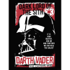 Komar Star Wars Darth Vader The Chosen One falikép 30 cm x 40 cm piros