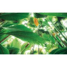 Komar Vlies fotótapéta Dschungeldach II 450 cm x 280 cm tapéta, díszléc és más dekoráció