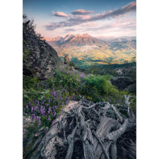 Komar Vlies fotótapéta Flowering Tales 200 cm x 280 cm tapéta, díszléc és más dekoráció