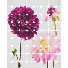 Komar vlies fotótapéta Flowers & Dots 200 cm x 250 cm tapéta, díszléc és más dekoráció