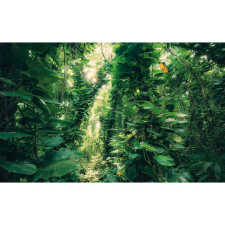 Komar Vlies fotótapéta Green Leaves 450 cm x 280 cm tapéta, díszléc és más dekoráció