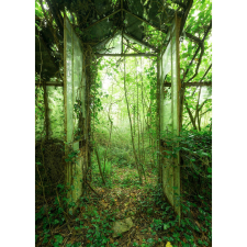 Komar vlies fotótapéta Greenhouse 200 cm x 250 cm tapéta, díszléc és más dekoráció