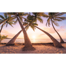 Komar vlies fotótapéta Reaching the Sun 400 cm x 250 cm tapéta, díszléc és más dekoráció