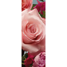 Komar vlies fotótapéta Rosenduft 100 cm x 280 cm tapéta, díszléc és más dekoráció