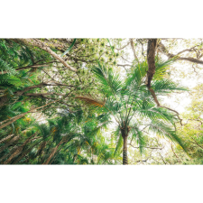 Komar Vlies fotótapéta Touch the Jungle 450 cm x 280 cm tapéta, díszléc és más dekoráció
