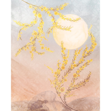 Komar vlies tapéta Sol 200 cm x 250 cm tapéta, díszléc és más dekoráció