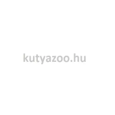 KONG Feliratos Labda Kutyajáték (2db/cs) M játék kutyáknak