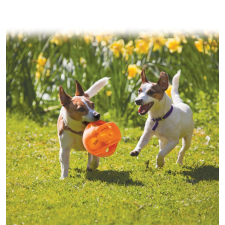 KONG Jumbler labda M  L 13,9 cm kutyajáték játék kutyáknak