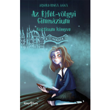 Könyv Guru Az Éjfél-völgyi Gimnázium 1. - Noctisum könyve gyermek- és ifjúsági könyv